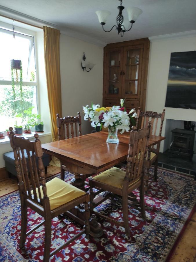 Adail Cottage Aberystwyth Bagian luar foto