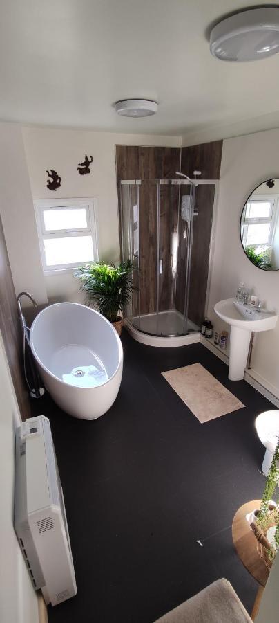Adail Cottage Aberystwyth Bagian luar foto