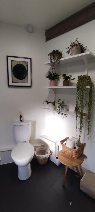 Adail Cottage Aberystwyth Bagian luar foto