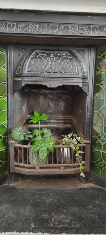 Adail Cottage Aberystwyth Bagian luar foto